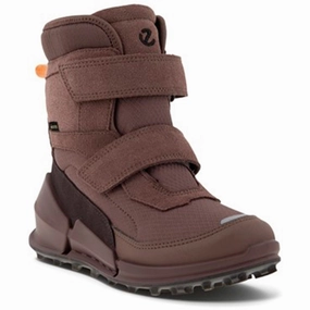 Ecco Biom K2 Mid-Cut Boot Dusty Purple/Dark Purple/Dark Purple/Shale Cheap Kids Winter Footwear