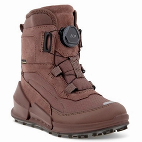 Ecco Biom K2 Mid-Cut Boot Dusty Purple/Dusty Purple/Dusty Purple Cheap Kids Winter Footwear