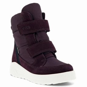 Ecco Urban Snowboarder Mid-Cut Boot Fig/Fig Cheap Kids Winter Footwear