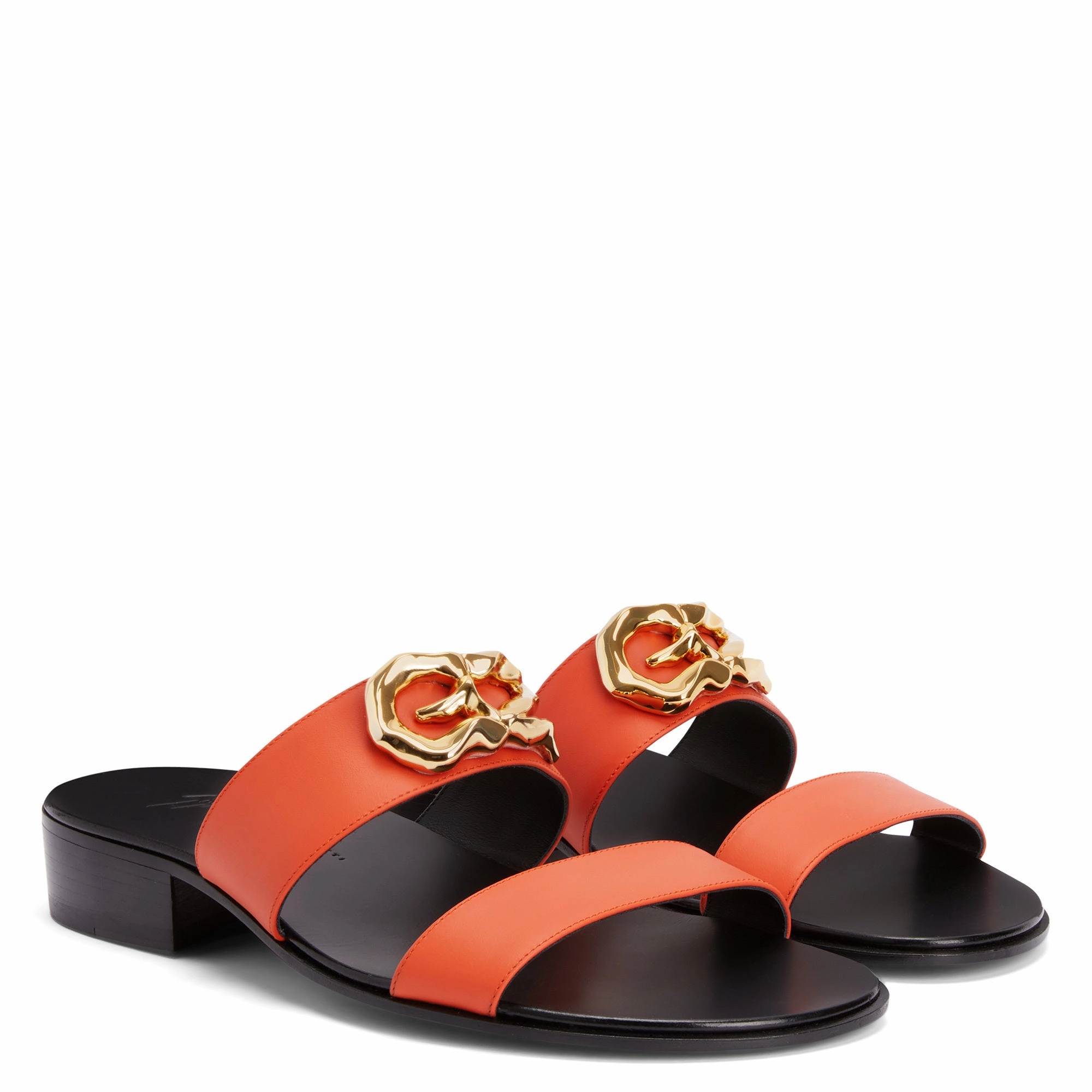 Giuseppe Zanotti Gregorie