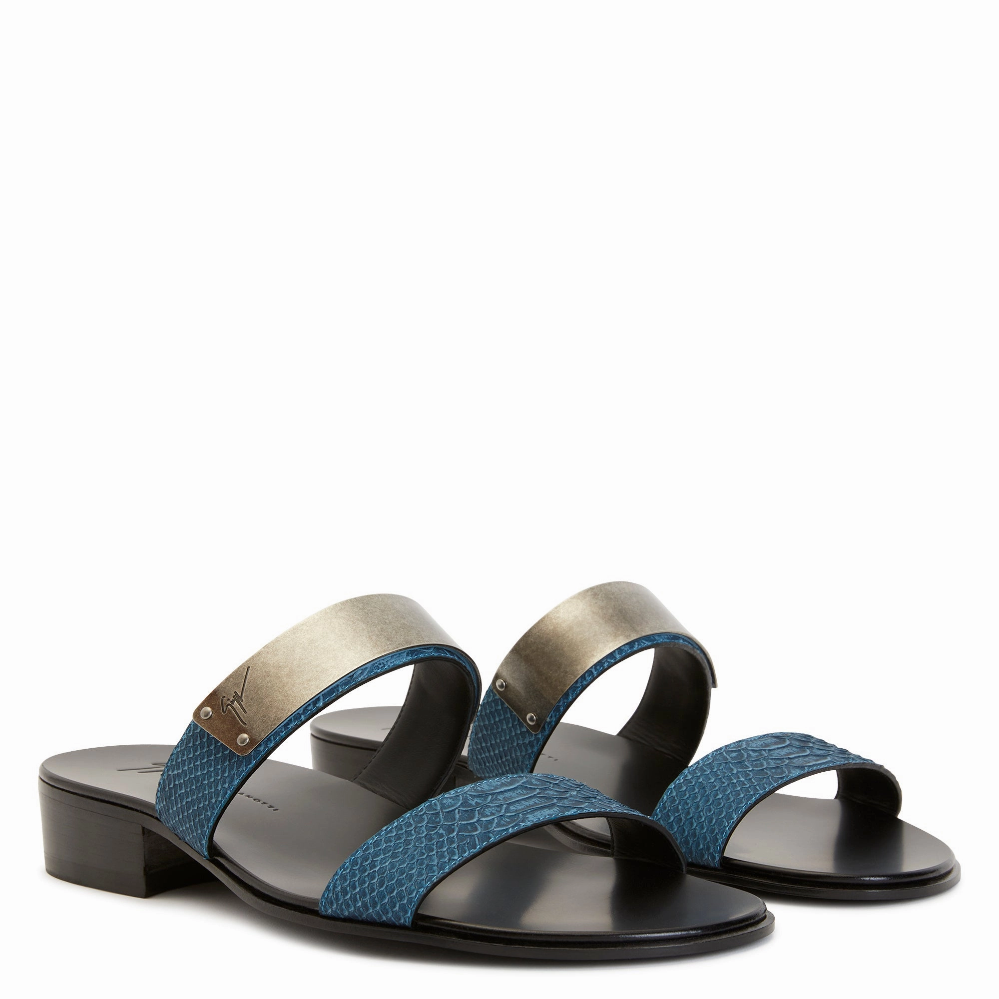 Giuseppe Zanotti Ignazio