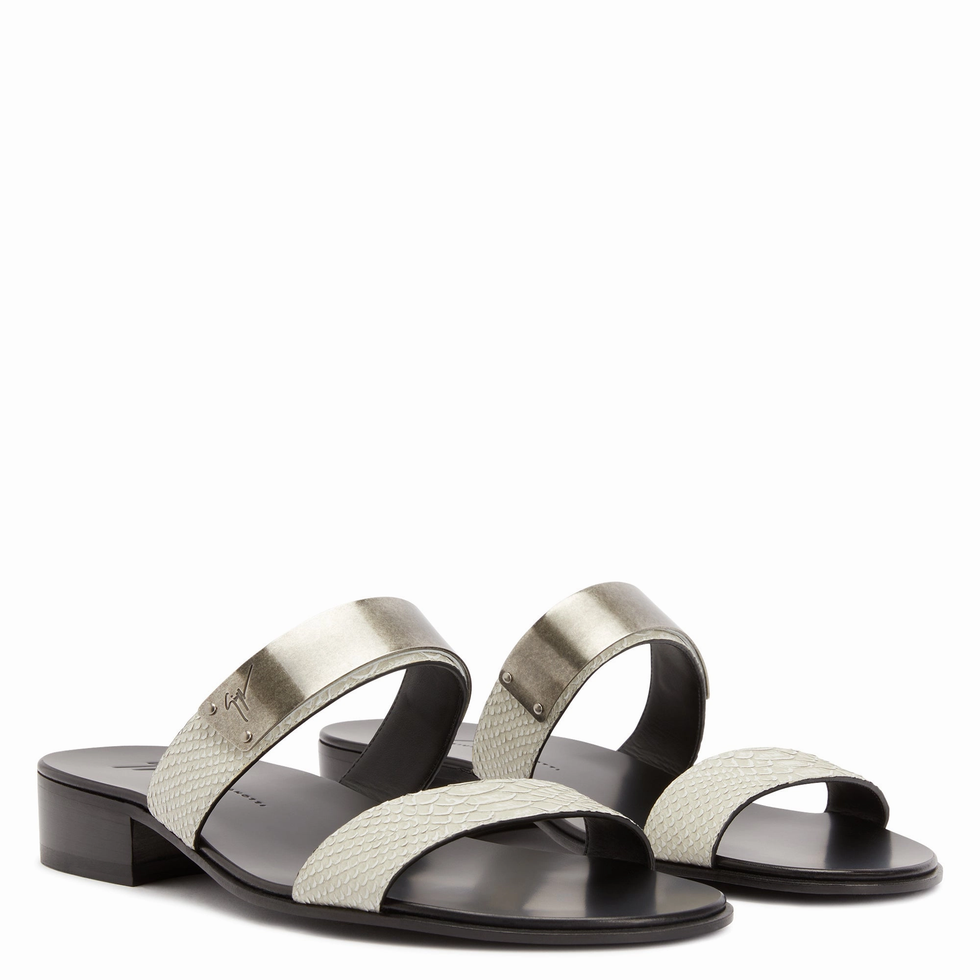 Giuseppe Zanotti Ignazio