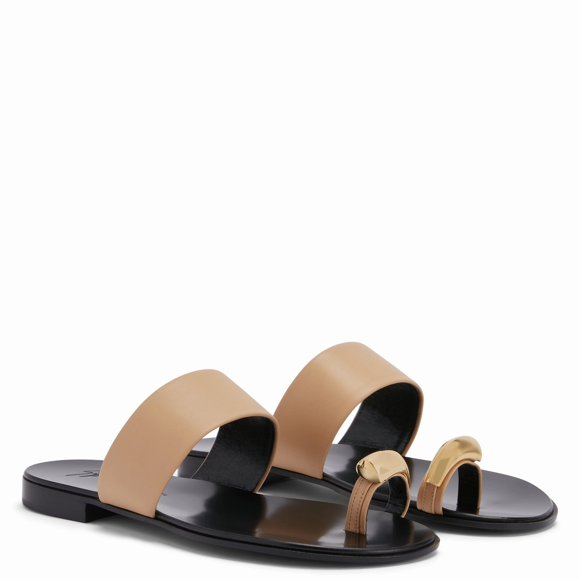 Giuseppe Zanotti Norbert