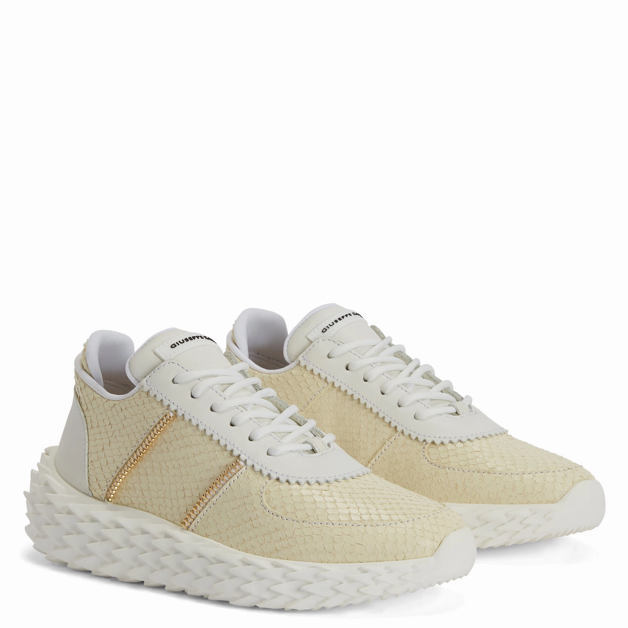 Giuseppe Zanotti Urchin