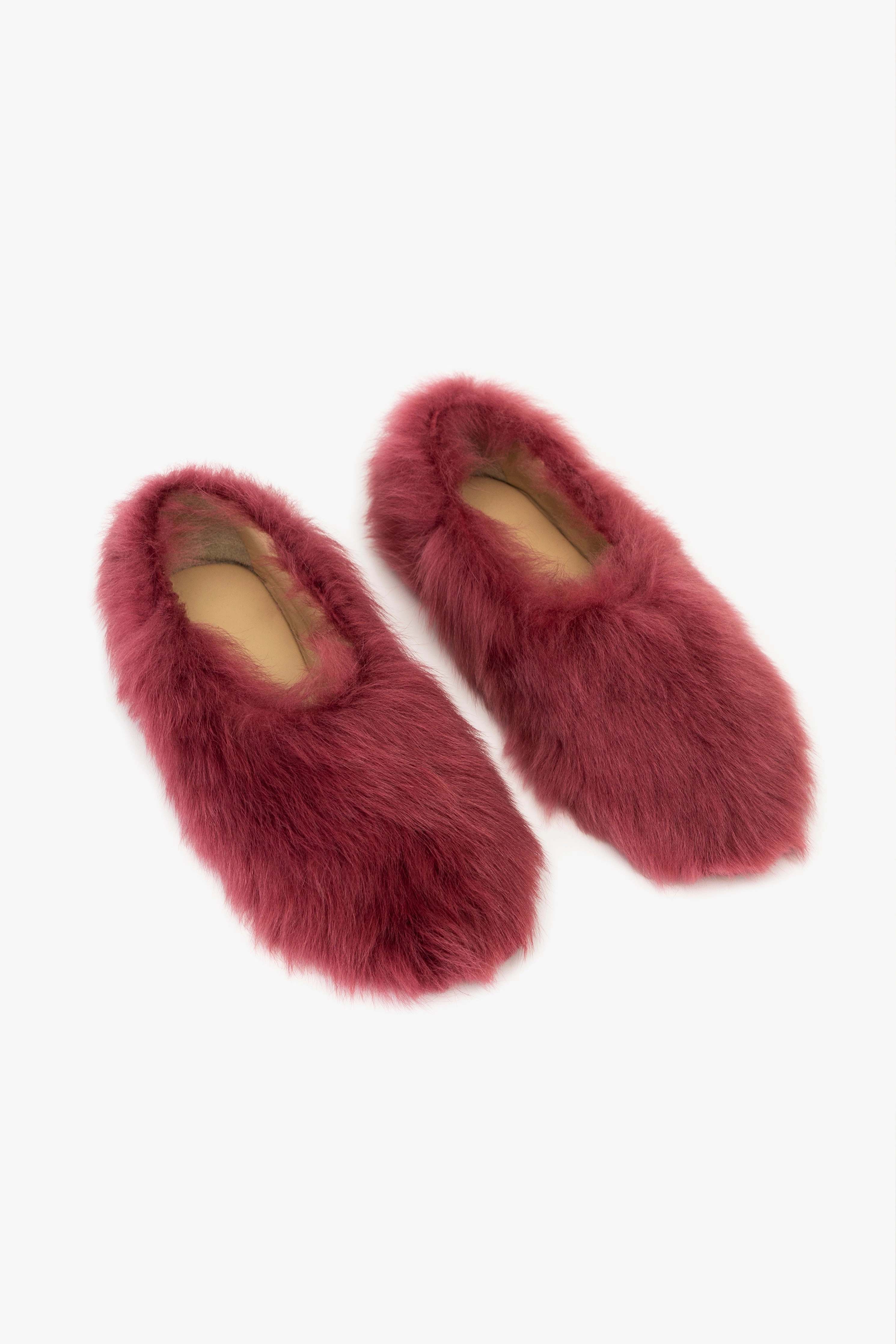 Kiwi Kiwi Shearling Ballet Flats in Burgundy Womens Slippers at low price