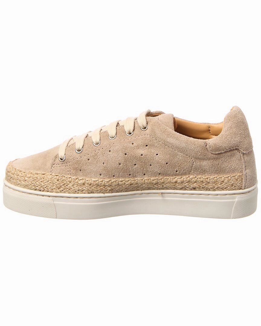 The Flexx Hi Tide Suede Sneaker