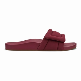 Women's Sunbeam Slide In Loganberry Womens Slippers at low price