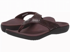 Women's Yumi Snake Slipper In Brown Womens Slippers at low price